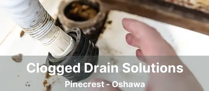  Clogged Drain Solutions Pinecrest - Oshawa