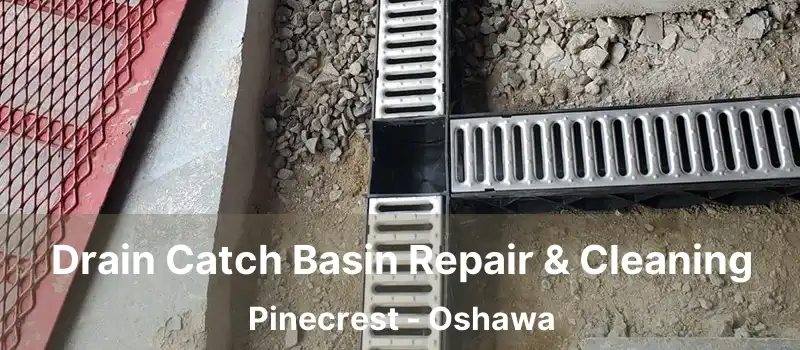  Drain Catch Basin Repair & Cleaning Pinecrest - Oshawa