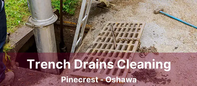  Trench Drains Cleaning Pinecrest - Oshawa