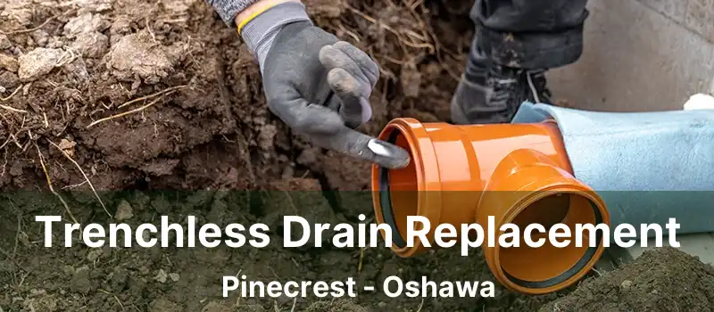  Trenchless Drain Replacement Pinecrest - Oshawa